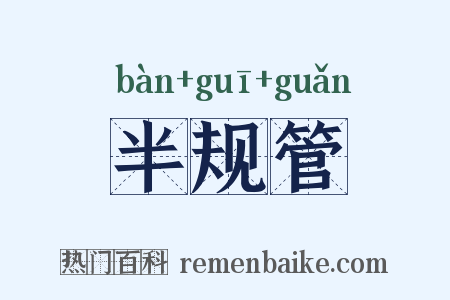 半规管是什么意思的图片